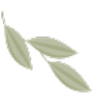 Leaf Decoration